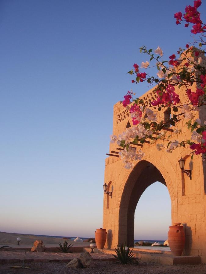 Marsa Shagra Village Abu Dabab Exterior foto